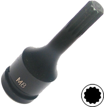 BATO Punch bit socket 1/2" x XZN M18