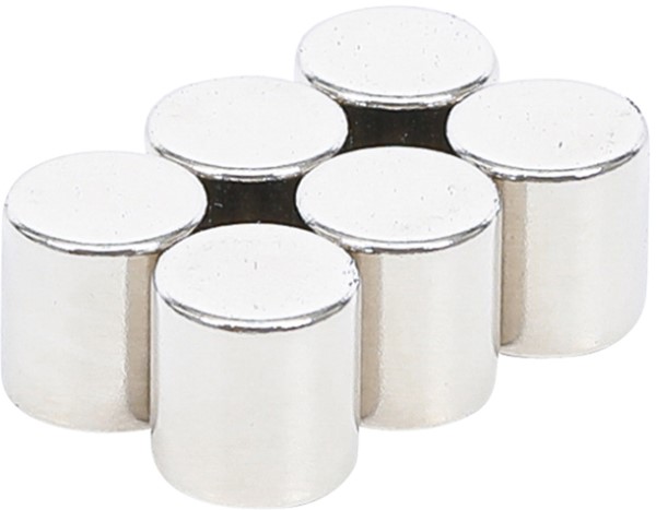 BGS Magnetsæt Ø9,5mm, 10mm tyk. 6 stk